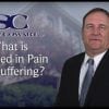 what is included in pain amp suffering seboxyrzdhy 100x100 1